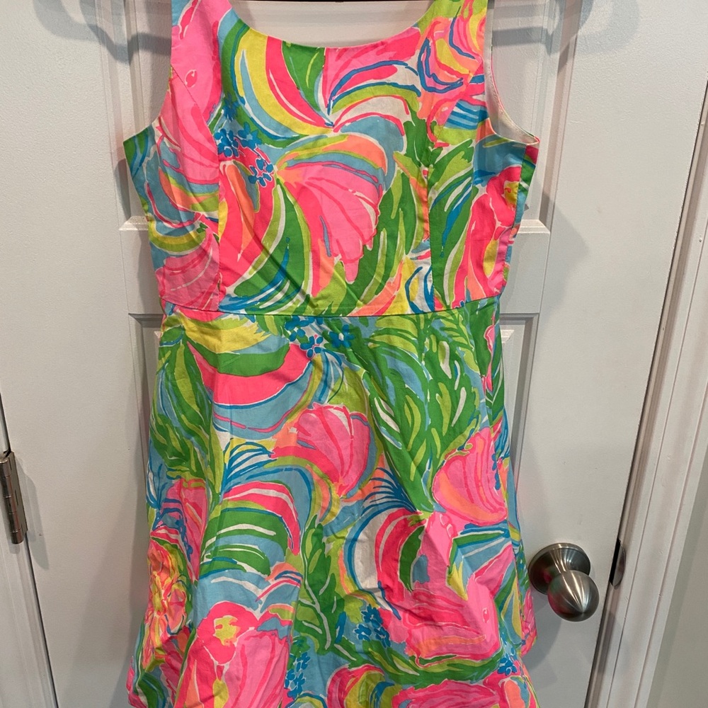 Girl Lily Pulitzer Dress.